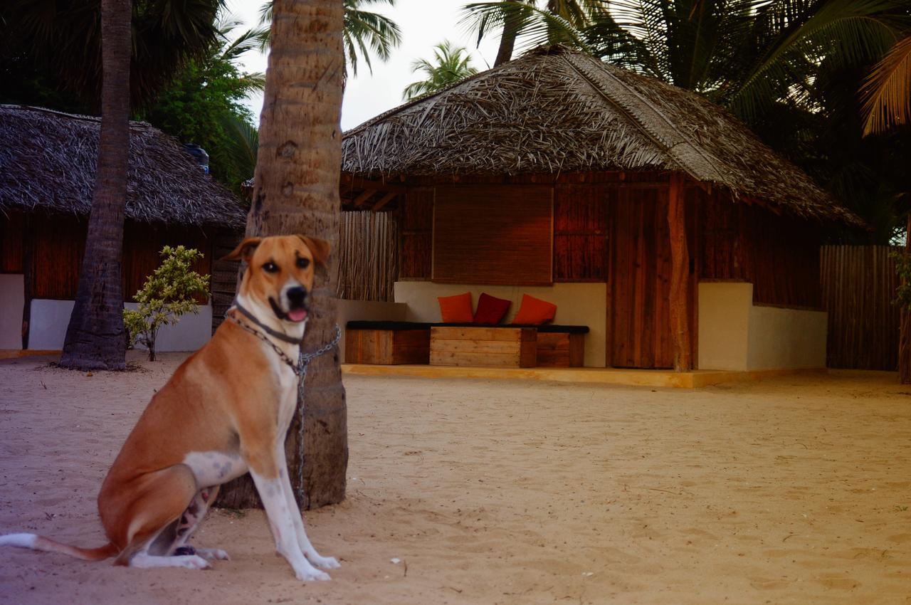 Sandy Edge Kalpitiya Exterior foto
